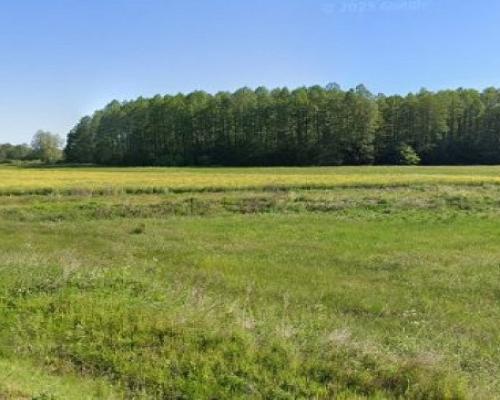 Działka zagrodowa 3000m2, Rzepniki