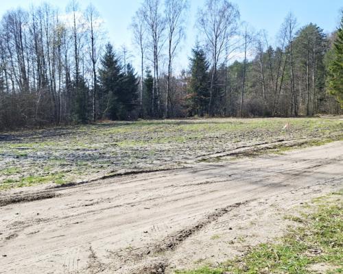 Działka blisko lasu w Solniczkach. 1109 m2