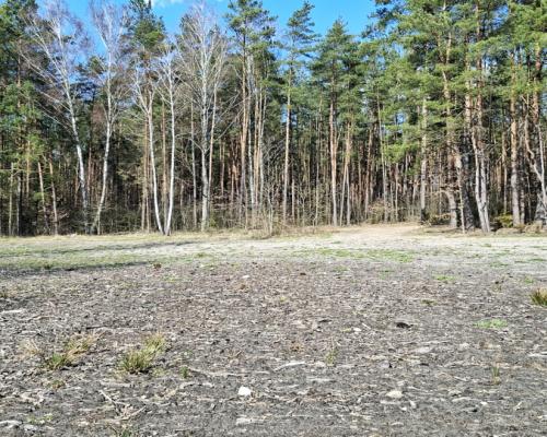 Działka blisko lasu w Solniczkach. 1109 m2