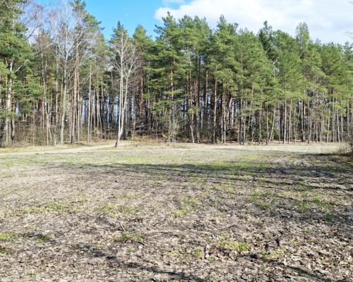 Działka blisko lasu w Solniczkach. 1109 m2