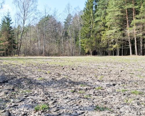 Działka blisko lasu w Solniczkach. 1109 m2