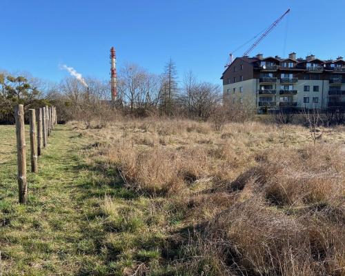 Działka w Augustowie.