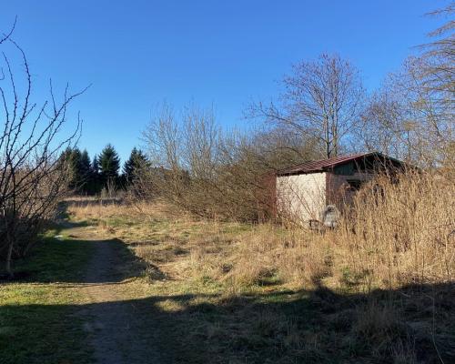 Działka w Augustowie.