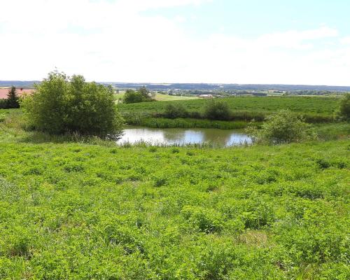 Działka rolno budowlana gmina Rutka-Tartak