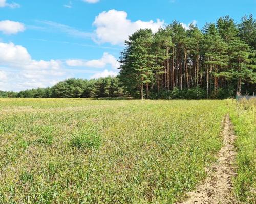 Działka budowlana 1047 m2, Wólka Poduchowna