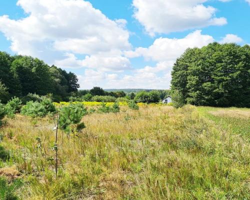 Działka budowlana 1047 m2, Wólka Poduchowna