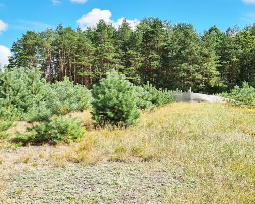 Działka budowlana 1047 m2, Wólka Poduchowna