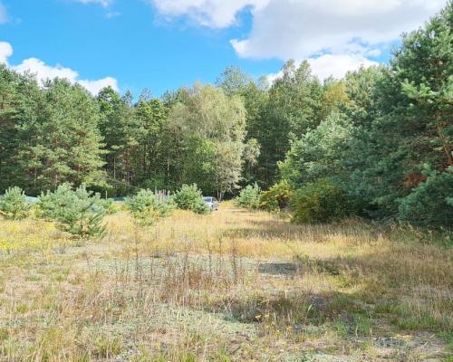 Działka budowlana 1047 m2, Wólka Poduchowna