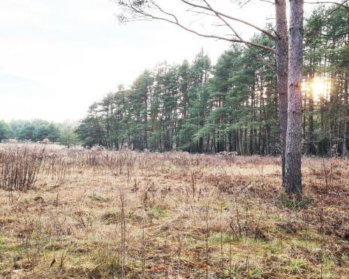 Działka 8500 m2, Jurowce