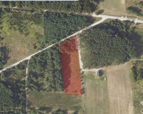 Działka 8500 m2, Jurowce