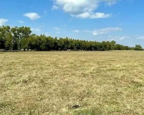 Działka budowlana 1000 m2, Rafałówka