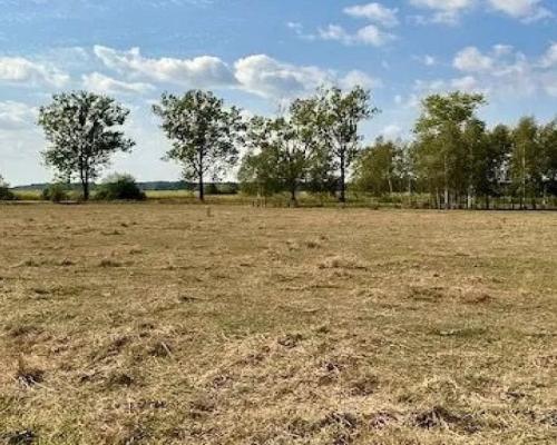 Działka budowlana 1000 m2, Rafałówka