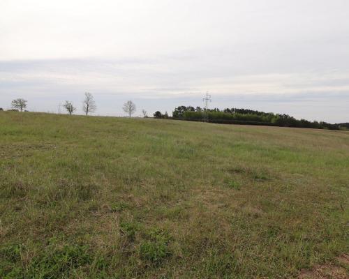 Działka rolno-budowlana w Pieckach