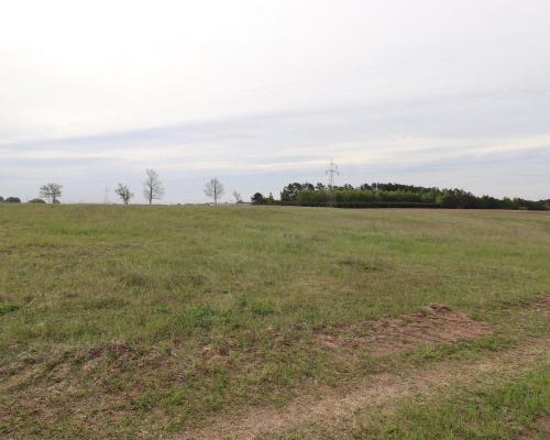 Działka rolno-budowlana w Pieckach