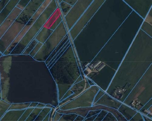 Działka rolno-budowlana w Pieckach