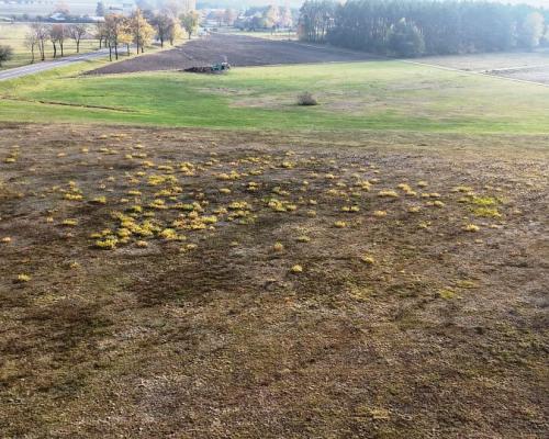 Działki budowlane. Zagruszany