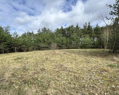 Działka budowlana w Karakulach,