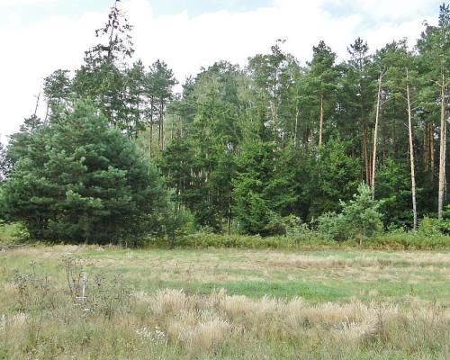 Budowlano - rolna 1,04 ha. Pod miastem