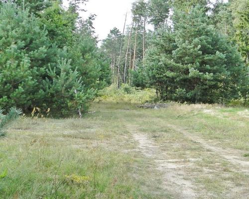 Budowlano - rolna 1,04 ha. Pod miastem