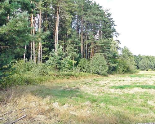 Budowlano - rolna 1,04 ha. Pod miastem