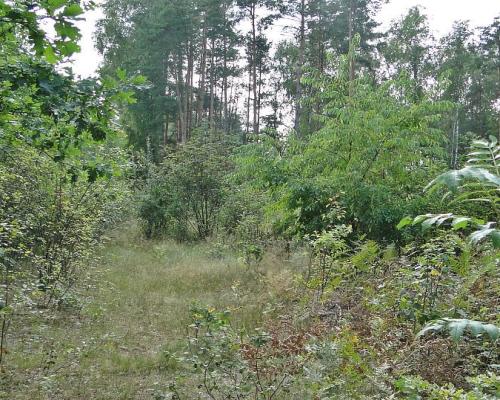 Budowlano - rolna 1,04 ha. Pod miastem