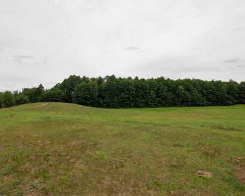 Wyjątkowa działka otoczona lasem