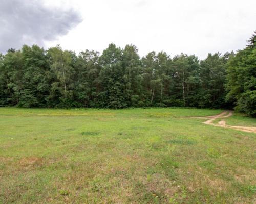 Wyjątkowa działka otoczona lasem