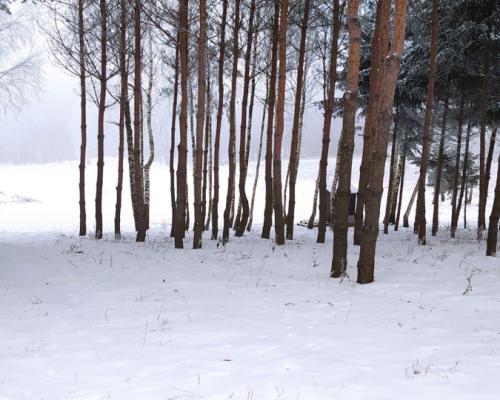 Działka budowlana 2181 m2