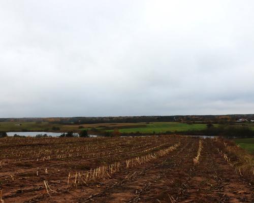 Działka rolno-budowlana - Żegary, gm. Sejny