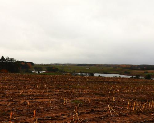 Działka rolno-budowlana - Żegary, gm. Sejny