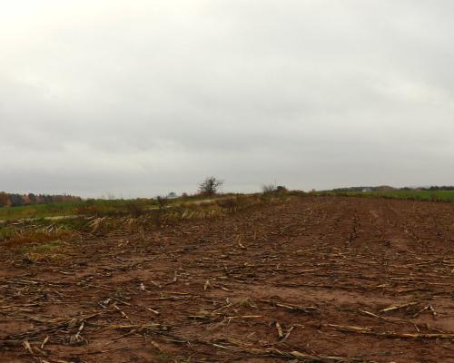 Działka rolno-budowlana - Żegary, gm. Sejny