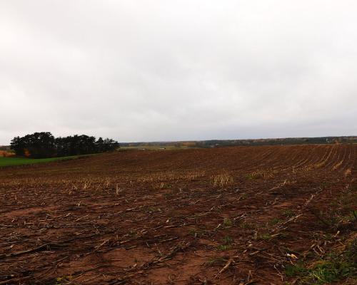 Działka rolno-budowlana - Żegary, gm. Sejny