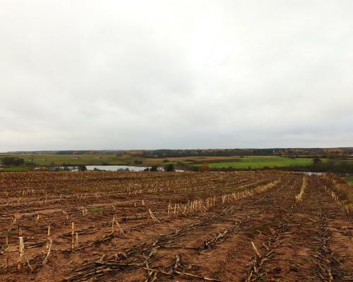 Działka rolno-budowlana - Żegary, gm. Sejny