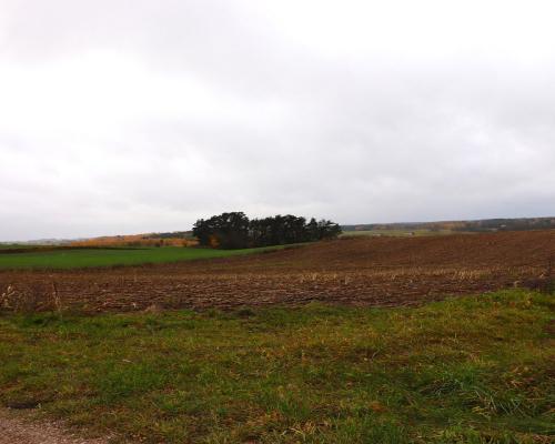 Działka rolno-budowlana - Żegary, gm. Sejny