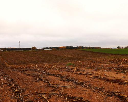 Działka rolno-budowlana - Żegary, gm. Sejny