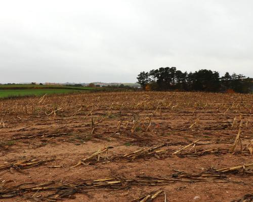 Działka rolno-budowlana - Żegary, gm. Sejny