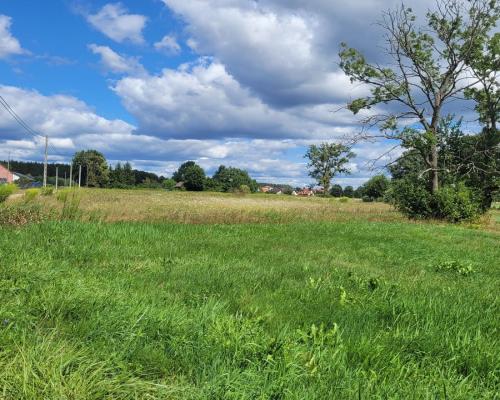 Działka budowlana wśród zieleni.
