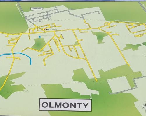 Działka budowlana wśród zieleni.