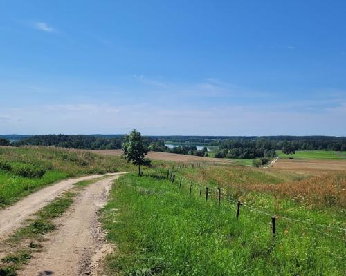 Działka nad jeziorem w gminie Stare Juchy.