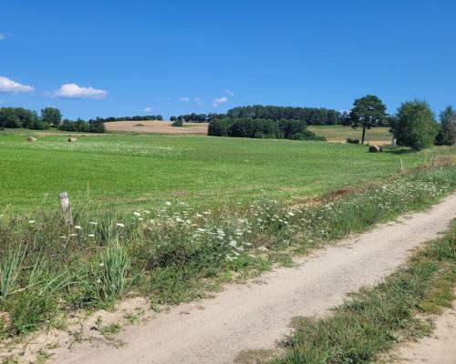 Działka nad jeziorem w gminie Stare Juchy.