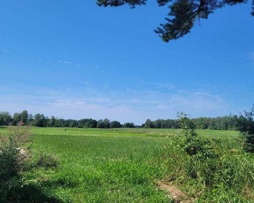 Działka nad jeziorem w gminie Stare Juchy.