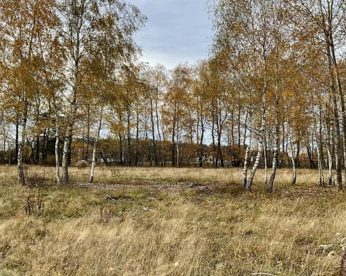 Sobolewo zaciszna  działka obok miasta.