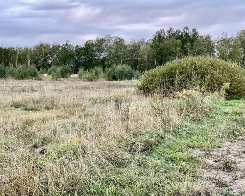 Sobolewo zaciszna  działka obok miasta.