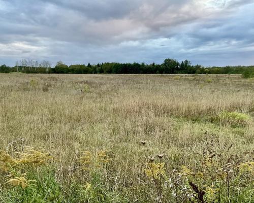 Sobolewo zaciszna  działka obok miasta.