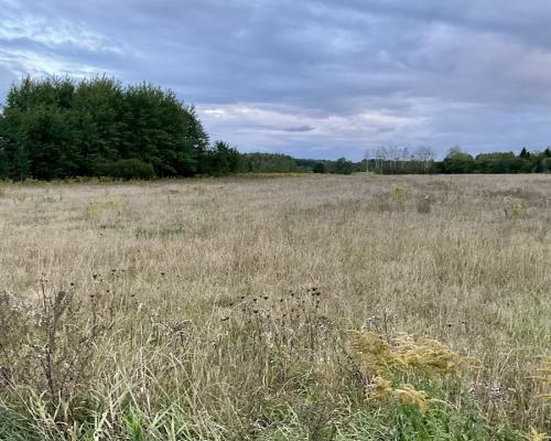 Sobolewo zaciszna  działka obok miasta.