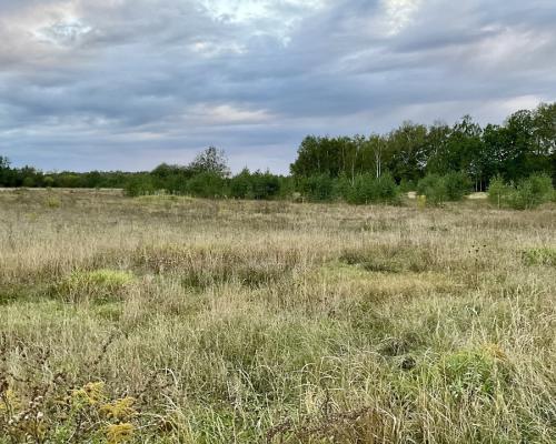 Sobolewo zaciszna  działka obok miasta.