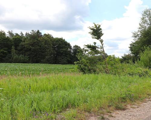 Działka budowlana na Mazurach Rożyńsk Wielki