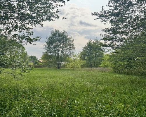 Działka w  Kosmatym Borku