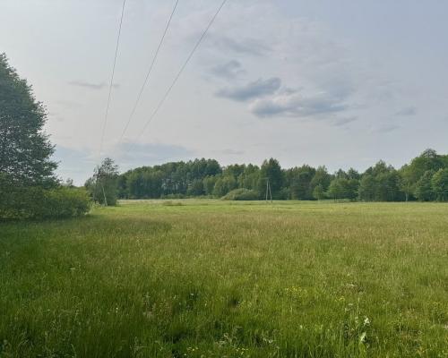 Działka w  Kosmatym Borku