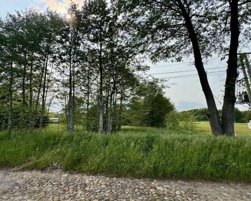 Działka w  Kosmatym Borku